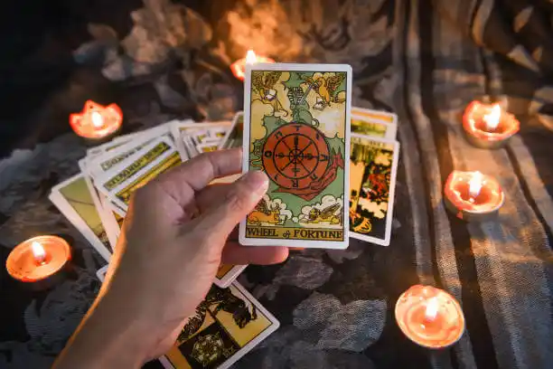 tarot cards Philmont